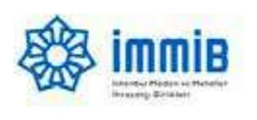 İMMİB logosu