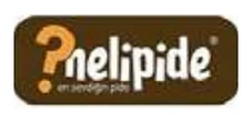 Nelipide logosu
