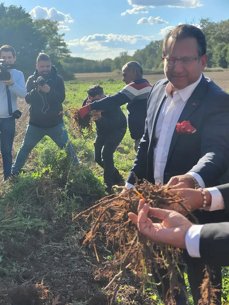 Edirne Kırmızısı'nın eşsiz rengi Kiğılı ile hasat günü şenliğinde yeniden hayat buldu — görsel 2